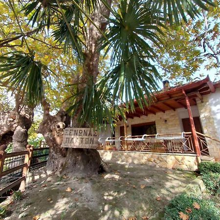 Guesthouse Platon Orma Bagian luar foto
