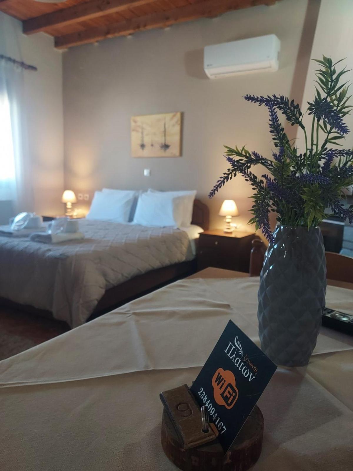 Guesthouse Platon Orma Bagian luar foto