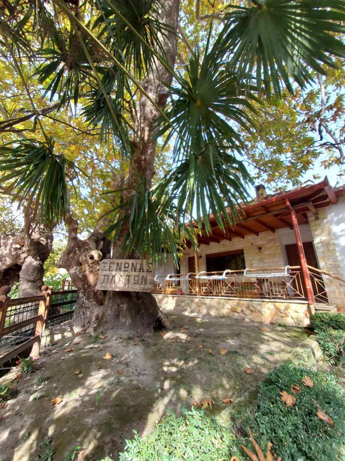 Guesthouse Platon Orma Bagian luar foto