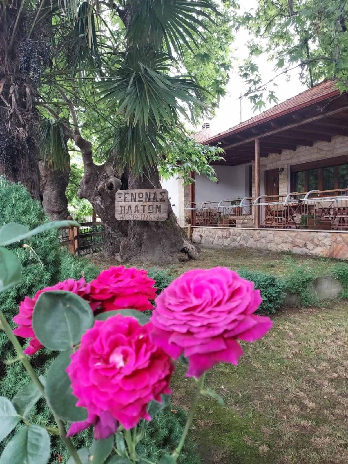 Guesthouse Platon Orma Bagian luar foto