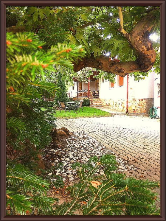 Guesthouse Platon Orma Bagian luar foto