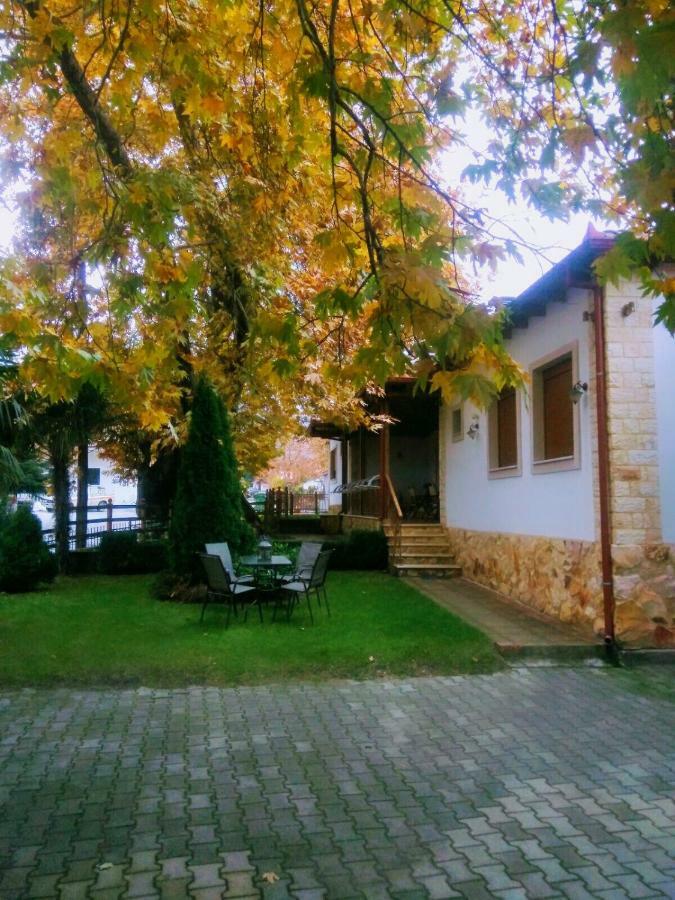 Guesthouse Platon Orma Bagian luar foto